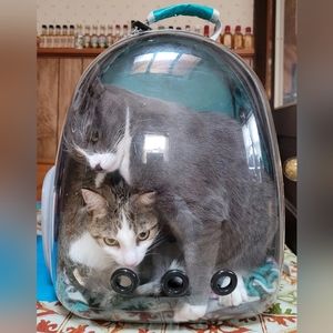 Lollimeow Cat Backpack Carrier